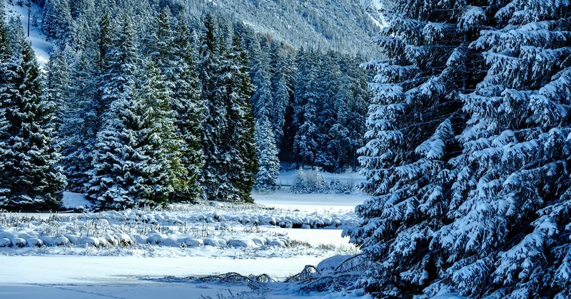 Comment accéder à sa cabane en hiver sans mauvaise surprise ?