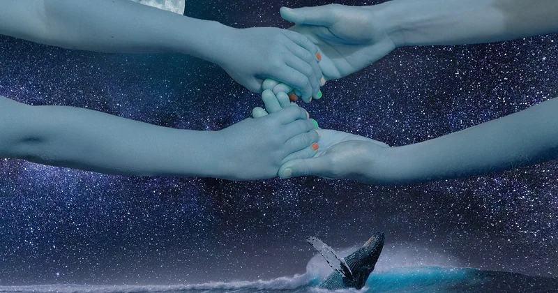 Les meilleurs spots en Europe pour observer les baleines en famille
