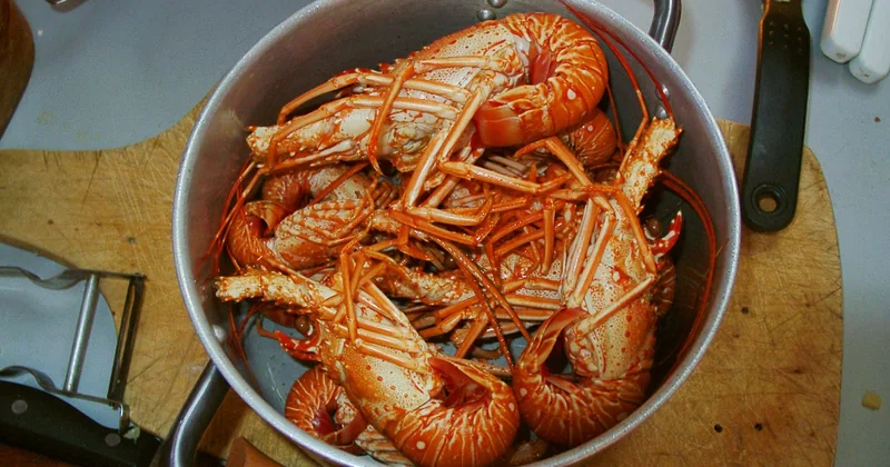 Cours de cuisine, marchés ou famille : où les traditions s'apprennent vraiment