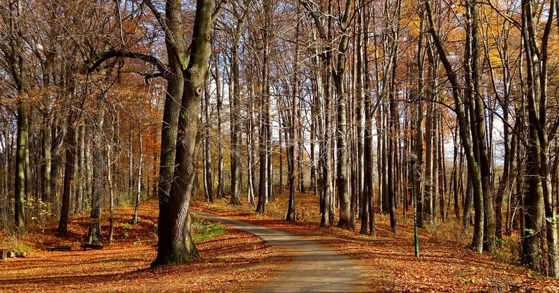 Que faire dans un parc national canadien en automne (au-delà de la randonnée)