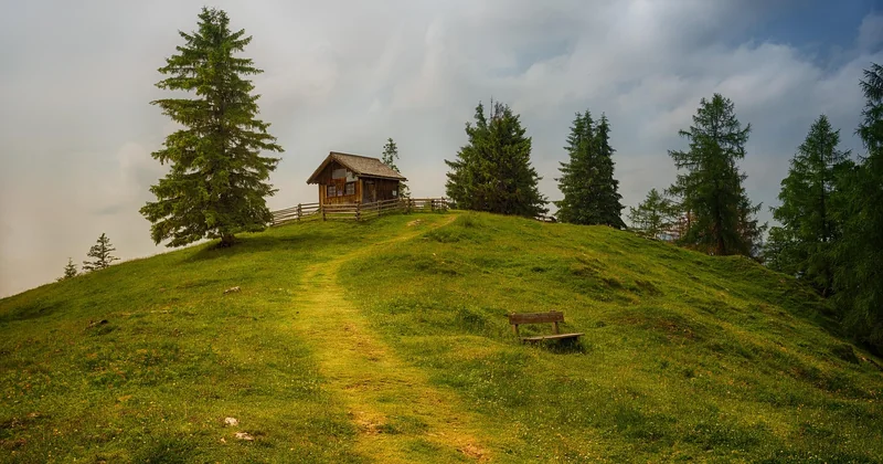 Cabane, bulle, igloo ou yourte : laquelle choisir sans se tromper ?