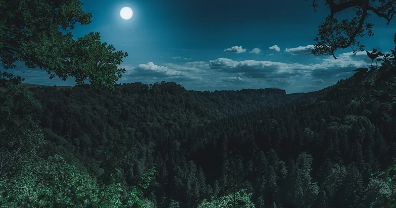 Combien coûte une nuit, et combien coûte le fait d'en acheter un ?